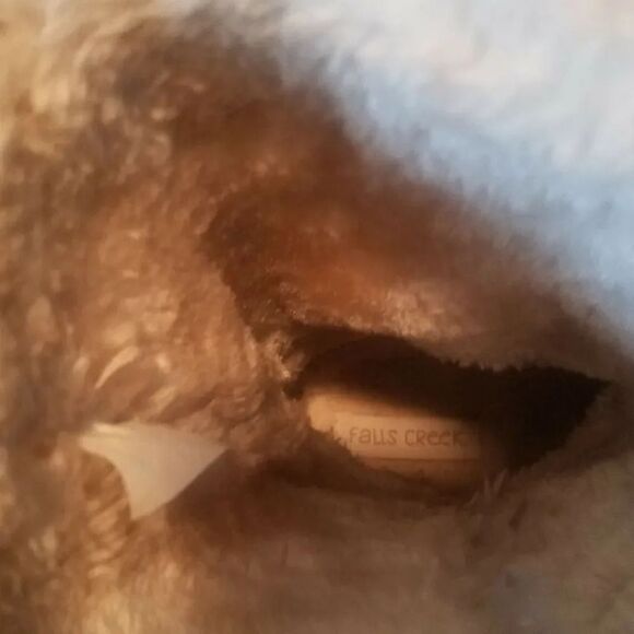 Falls Creek boots Sz 7 Brown - Picture 7 of 9